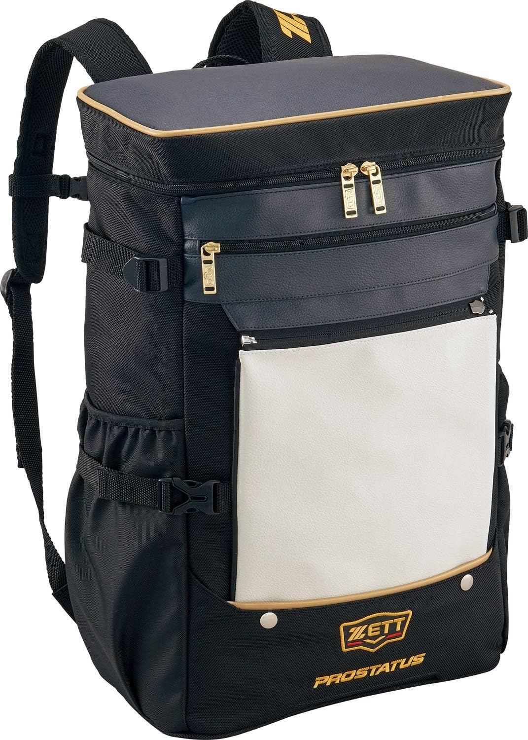 Agave parryi ´J.C.´s Shadow´ 204 アガベ JCシャドー 斑入り