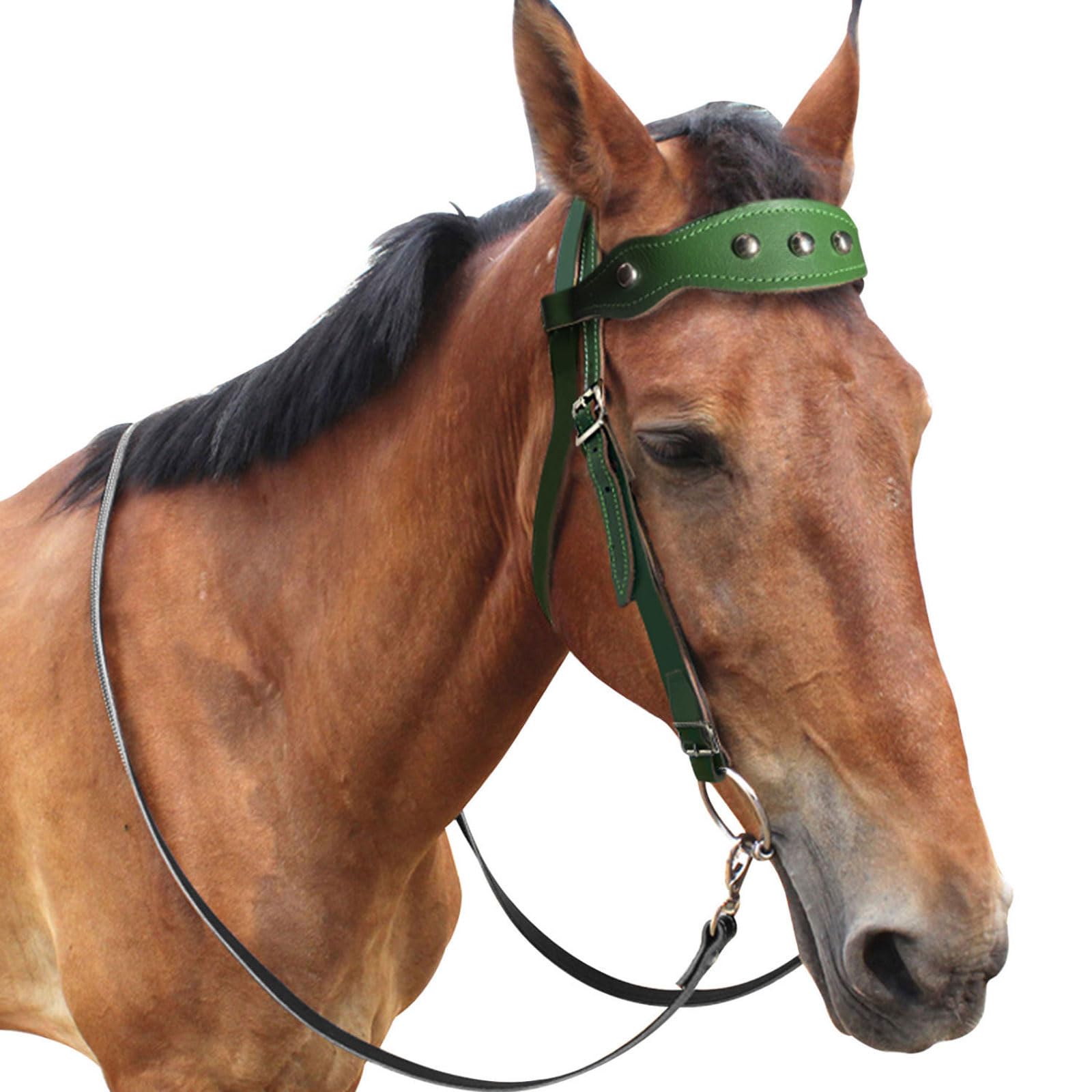 Cabeza de jaula de nylon pesada ajustable, Brida anatómica for caballos Hobby, casco acolchado cómodo, brida de exhibición, doma de salto, verde