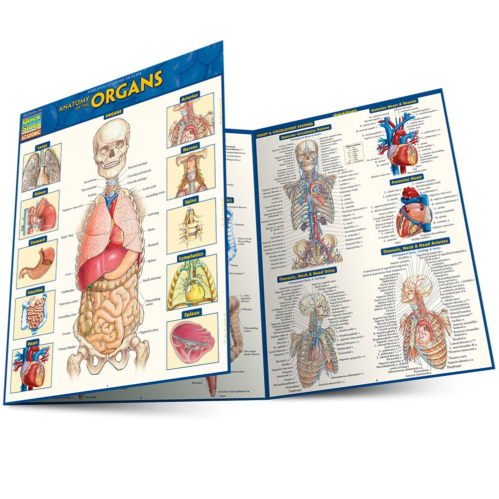 Amazon.com: Anatomy of the Organs: QuickStudy Laminated Reference