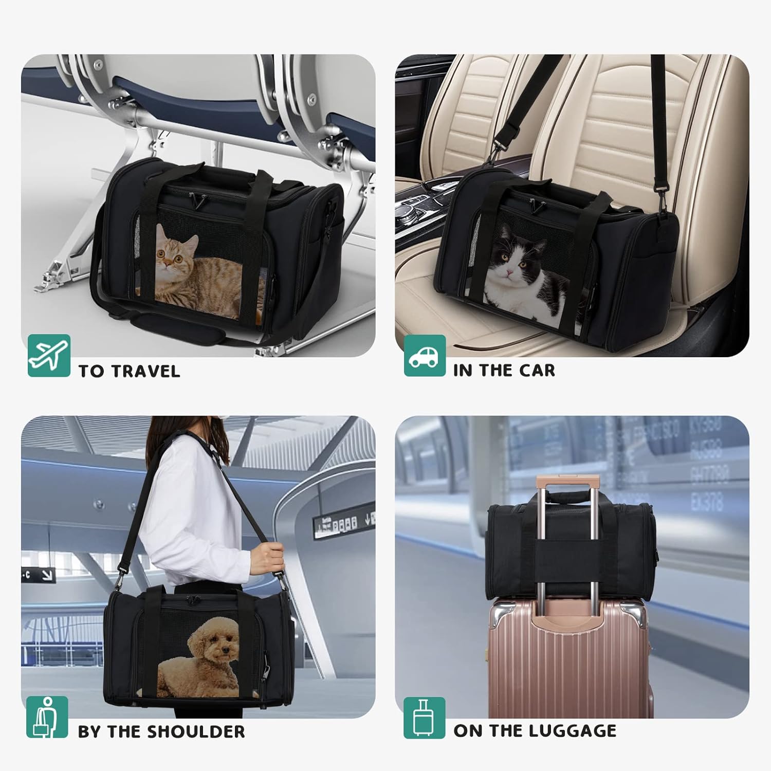 Pet Carrier for Cat Travel Carrier, Zbrivier Soft Dog Carrier Airline Approved Pet Carrier, Soft Cat Carrier with Lockable Zippers and Fleece Pad, Durable Dog Carriers for Small Dogs- Medium, Black : Pet Supplies