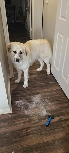 Maxpower Planet Original Pet Grooming Rake — lifestyle photo