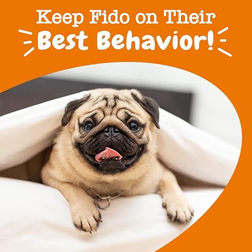 Miniatura 7 de Palos dentales calmantes para perros – Alivio del estrés y la ansiedad con cáñamo, melatonina y manzanilla – Limpieza del sarro de los dientes para