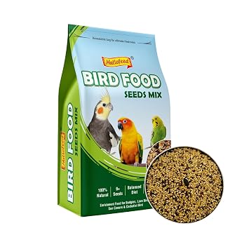 Hallofeed Bird Food (Mix Seeds) | for Budgies, Love Birds, Cockatiel etc. |Seed Blend of 9+ Grains | Net Weight 1kg