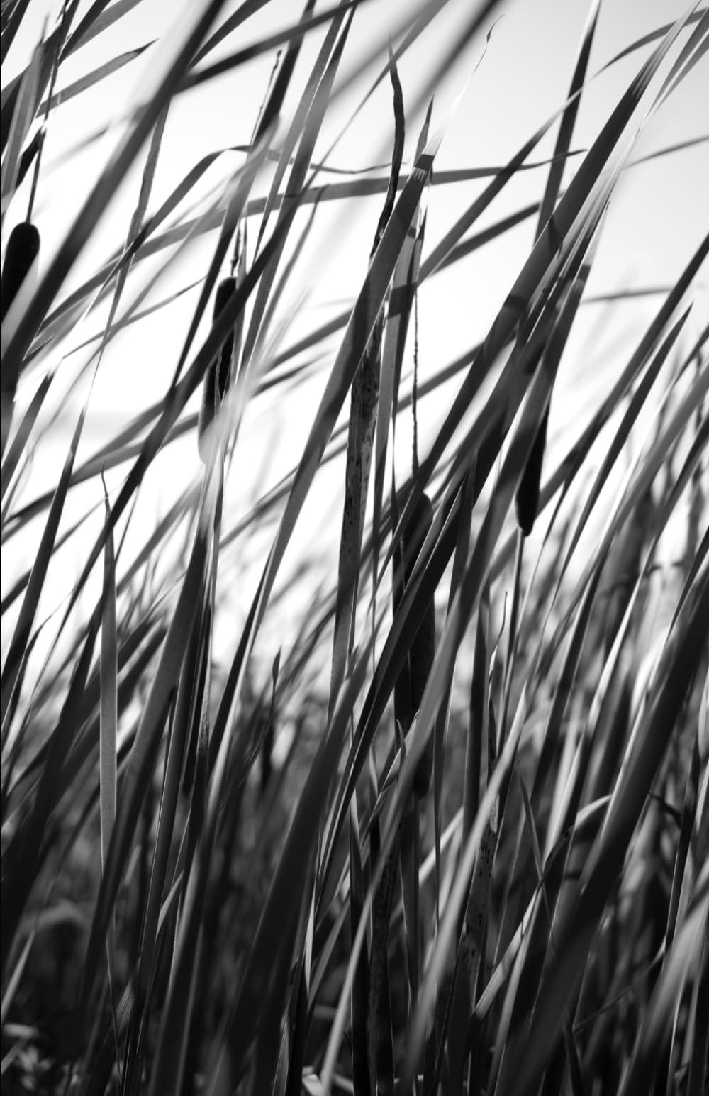 In the Middle of Nowhere Somewhere: And Other Stories