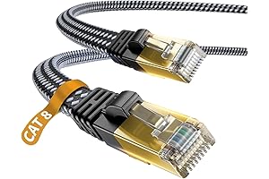 10ft DanYee Cat 8 Ethernet Cable for High-Speed Internet Connections