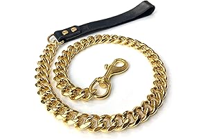Heavy-Duty Gold Dog Leash: Durability Meets Elegance