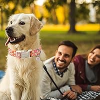 Vista 129 de Aring Pet Collar de algodón, ligero y ajustable, con hebilla de liberación rápida para perros pequeños, medianos y grandes, para cachorros, XS