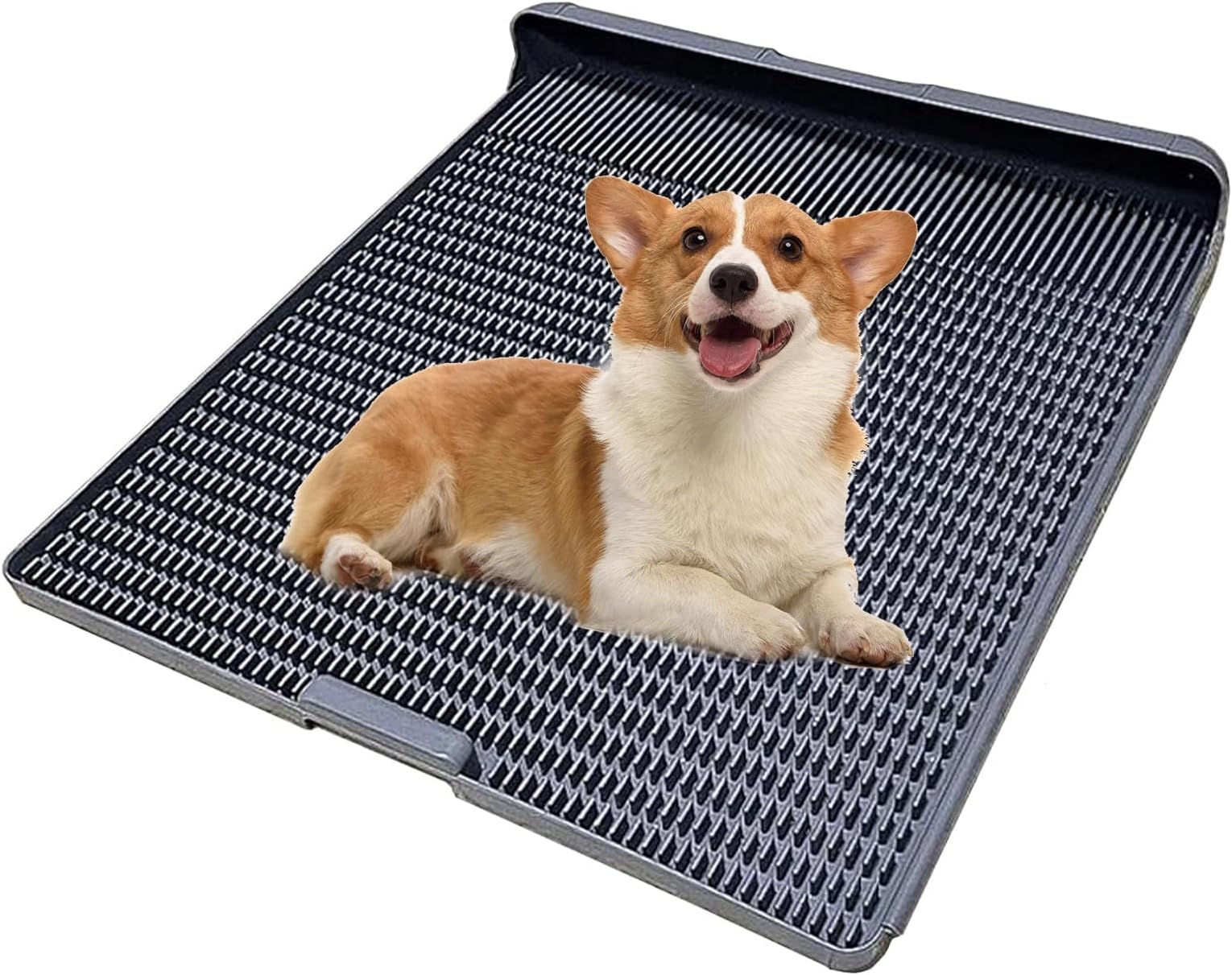 Amazon.co.jp: Pet Toilet, Dog, Toilet, Tray, Dog, Toilet Tray, Wide, Dog Toilet, Dog, Toilet ...