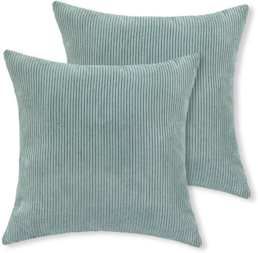 Aitliving 2 pcs Pack Cushion Covers Corduroy Throw Pillow Cases Covers, Super Soft Chenille Striped Vevlet Both Sides, Sterling Blue/some green shade 45 X 45cm, 18X18inch