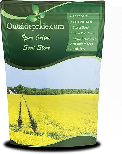 Outsidepride 5 lb. Brassica Trophy Semilla de colza de forraje para parcelas de alimentos y cultivos de cobertura