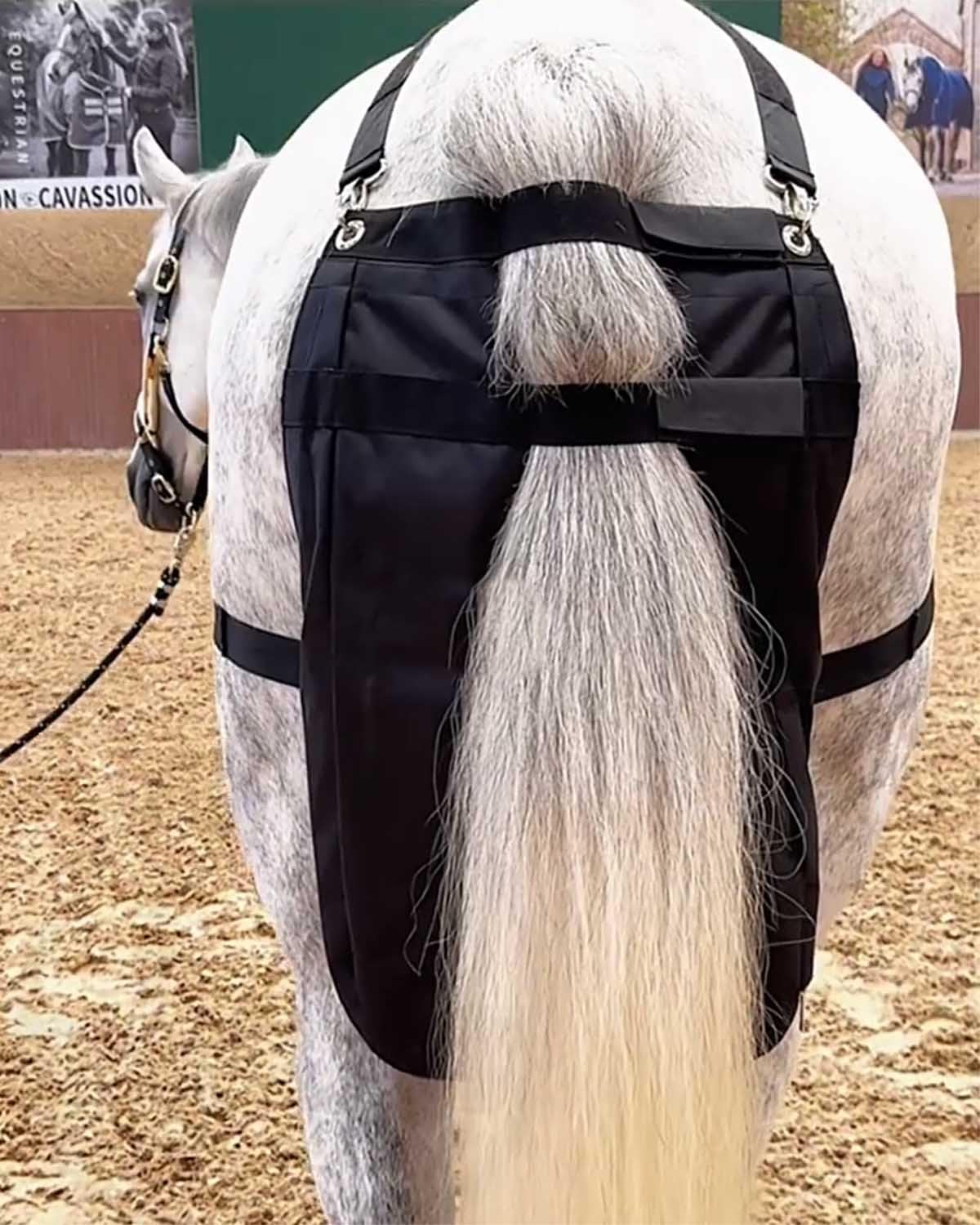 ZIMGOD Outdoor Equine Manure Bag Collector, Horse Riding Accessories, Comfortable Horse Poop Bag Organizer for Street/Equestrian Show/Riding Area(Large)