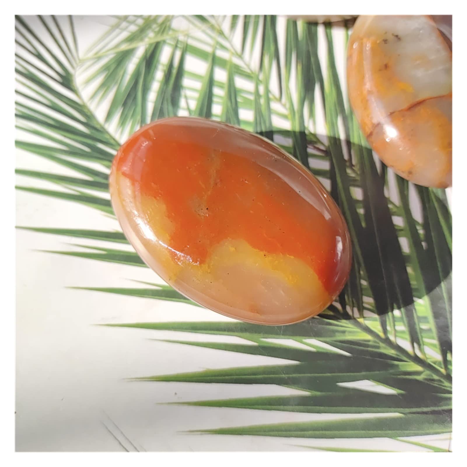 Pierre de palmier agate rouge JCAKES contre le stress en quartz de 60mm