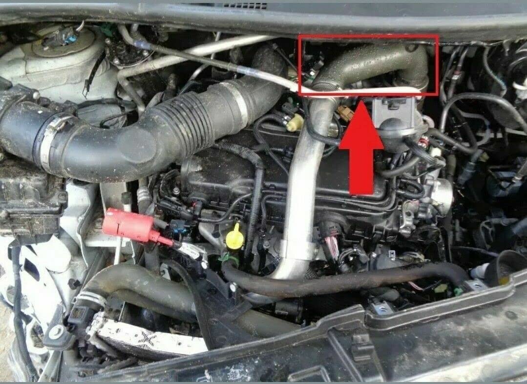 LLS-GERMANY Ladeluftschlauch kompatibel mit Renault Master III, 2.3 dCi, 144602862R, 4423901, 4701626, 95519335, 95519365, 95521075, 95523855, 95524032, 144602717R, 144604669R, 144605171R