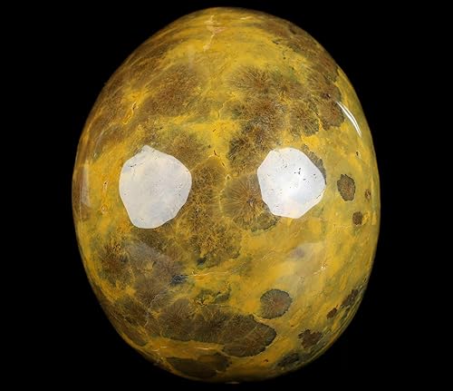 Vista 19 de Skullis Calavera de cristal de jaspe oceánico de 5.0 pulgadas, escultura de arte fino de piedras preciosas talladas a mano, estatua de piedra Jaspe