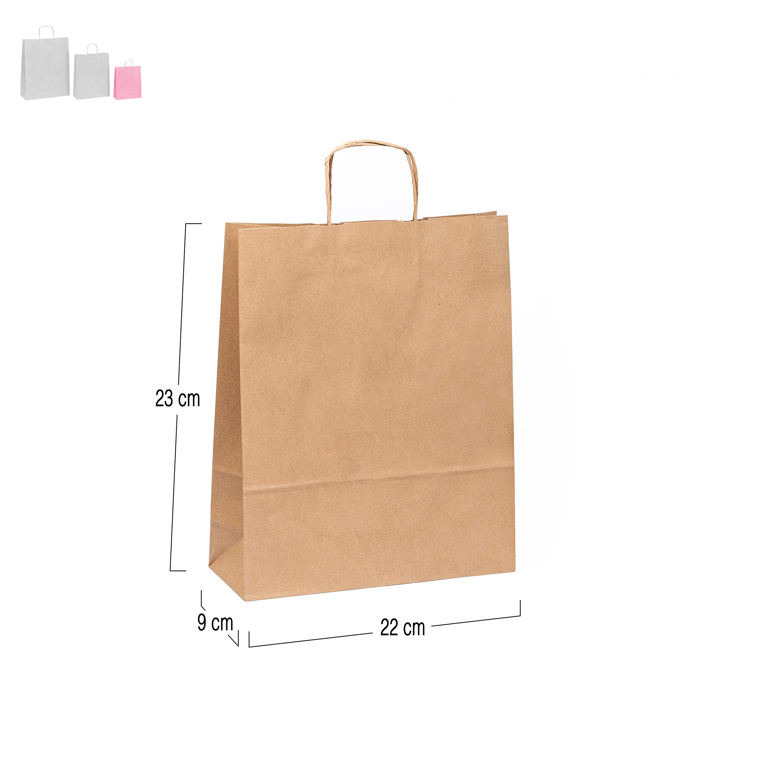 Packung mit 10 personalisierten Papiertüten | Logo-Taschen | Liefern Sie Ihre Produkte in der besten Präsentation | Taschen in verschiedenen Größen für Geschäft, Geschenk, Take Away (klein 21 x 22,5 x