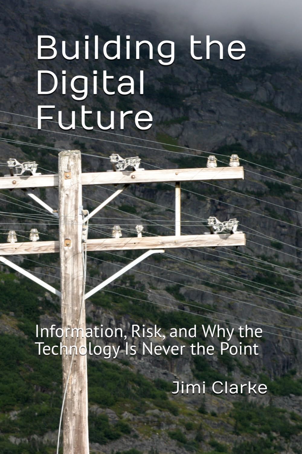 Building the Digital Future: Information, Risk, and Why the Technology Is Never the Point