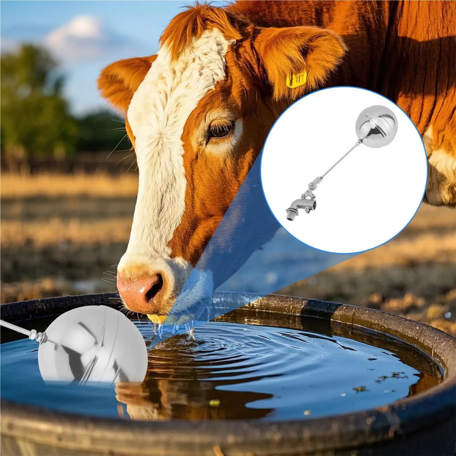 2 válvulas flotantes ajustables de acero inoxidable de 0.5 pulgadas para tanque de agua, equipo de ganado, bola de control automático de nivel