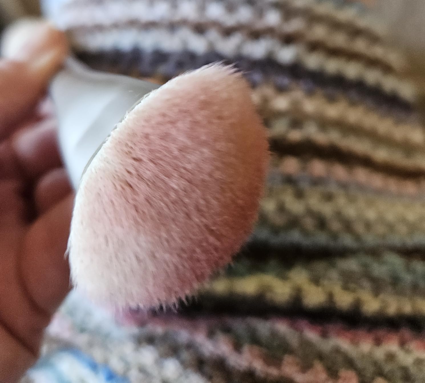 The Blush Brush photo review