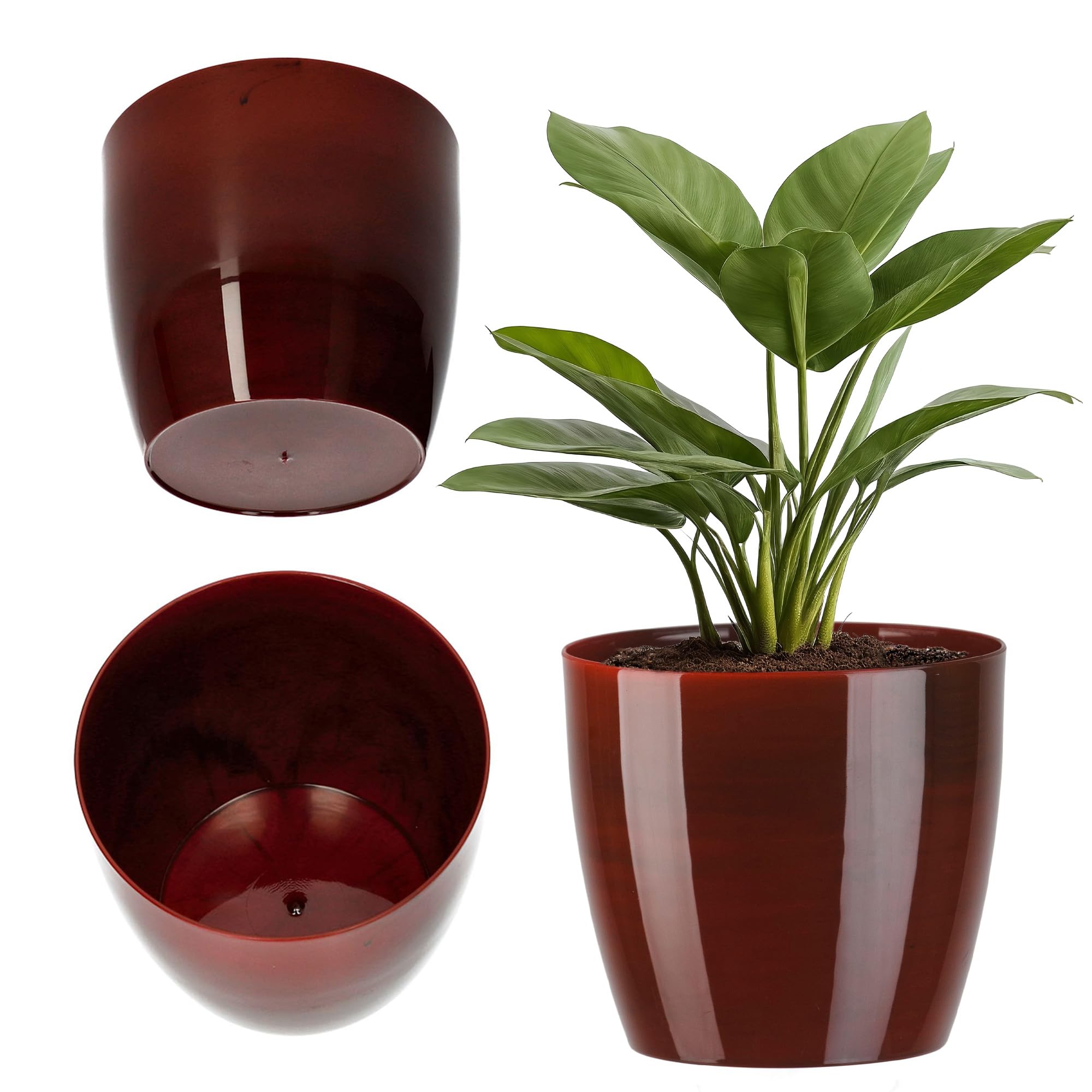 KADAX Maceta con Plato y Plato para Cactus, helechos (30 cm, Rosa) — view 16