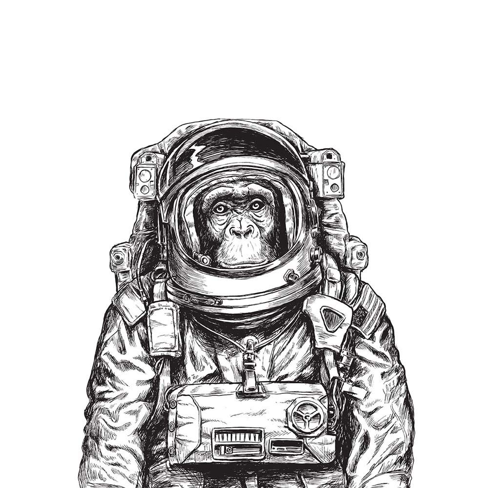 Wee Blue Coo Chimpanzee Astronaut Space Animal Art Print Poster Wall Decor 12X16 Inch