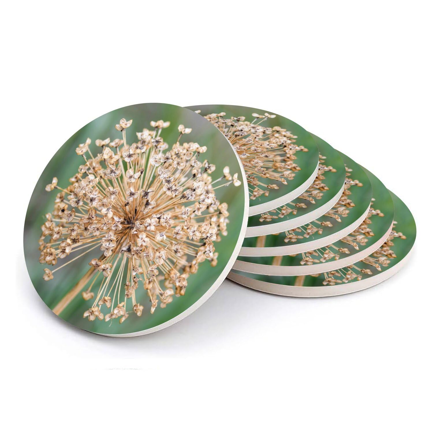 Sous-verre ronds en céramique fleur d'alium lot de 6 dessous de verre 108mm