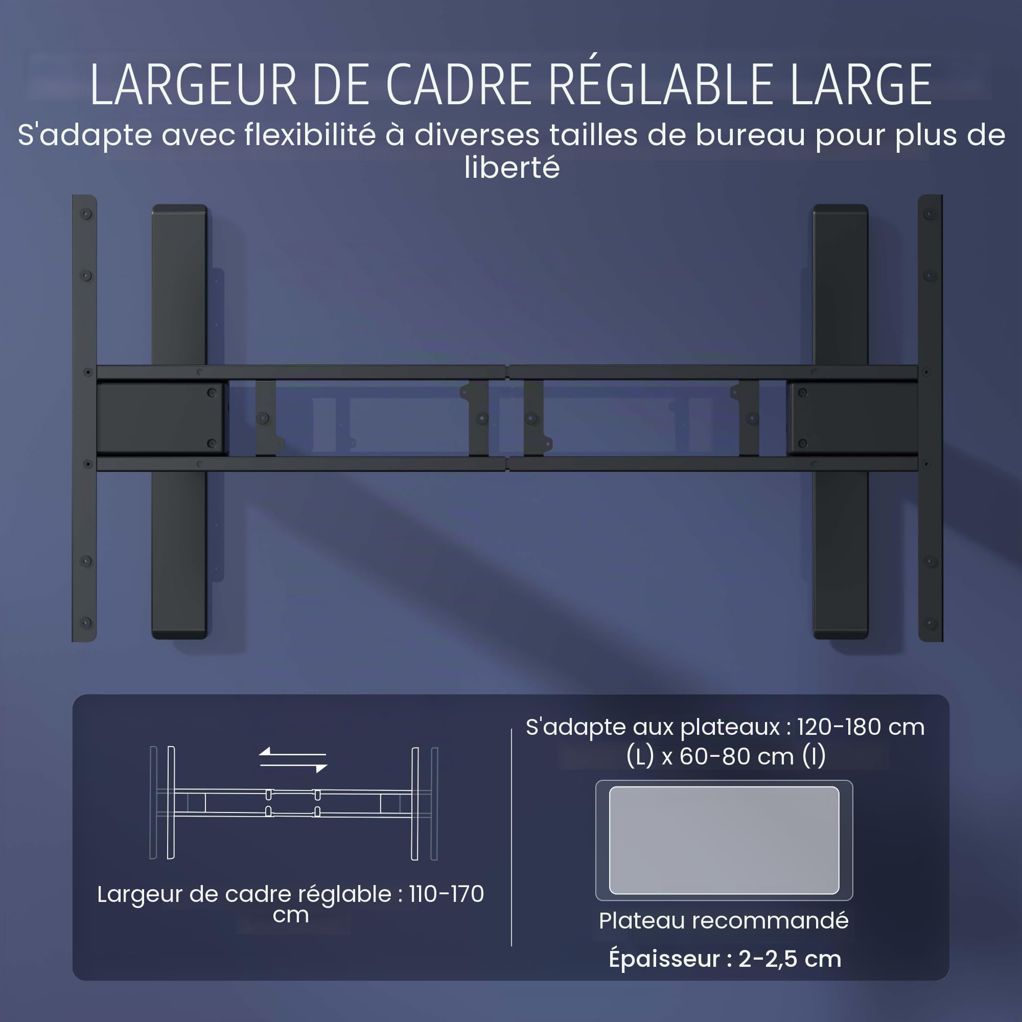 FlexiSpot Bureau Assis Debout Électrique 2 Moteurs, Charge 160kg, 3 Colonnes, Rappel de Sédentarité, Système Anti-collision, Panneau Mémoire, Cadre en Acier, Noir
