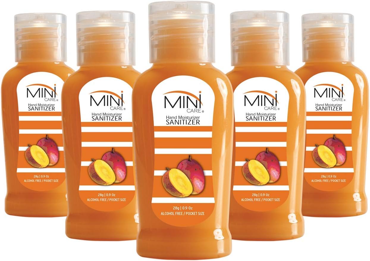 Hand Sanitizer Alcohol Based (Pack Of 6)