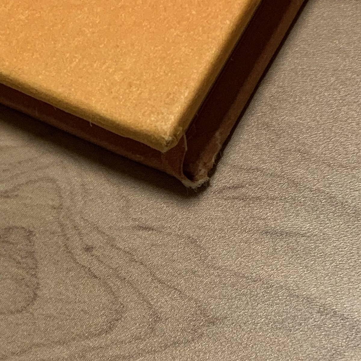 Amazon.co.jp: 絶版希少 Gus Van Sant One Step Big Shot ガス