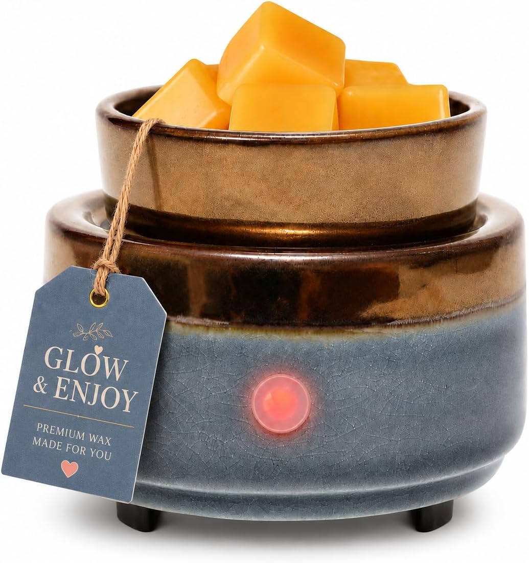 Ceramic Wax Melt Warmer, Electric Wax Warmer for Scented Wax Cubes, Flameless Fragrance Warmer with Removable Dish & Indicator Light, Compact Tabletop Home Decor for Bedroom Living Room Office Gift