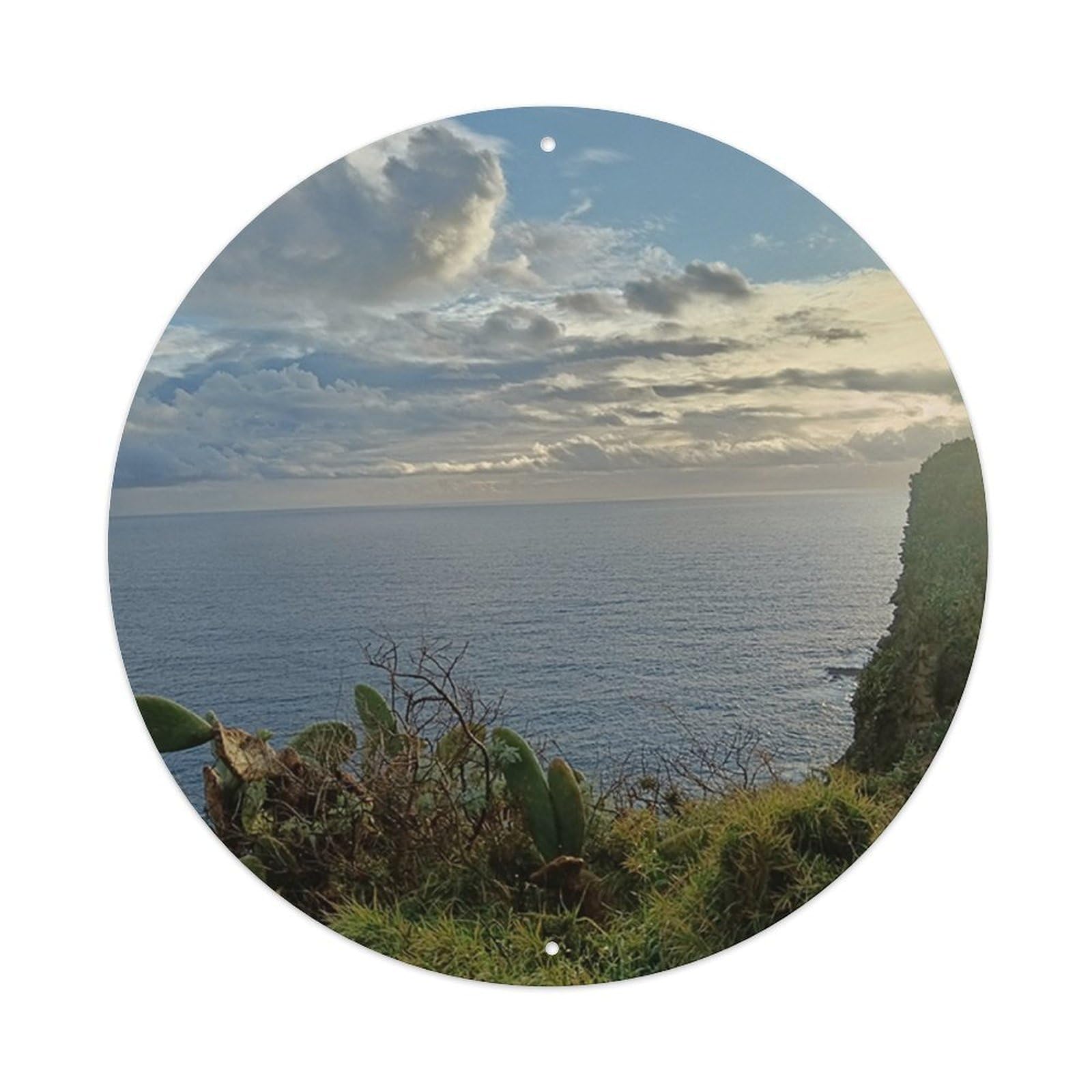 Ldfuieksufg Style Round Seaside Cliff Cactus Ocean Landscape Wall Sign Coastal Decor Vintage Aluminium Metal Sign, Retro Wall Decor For Home, Bar, Garage & Farmhouse 20X20cm