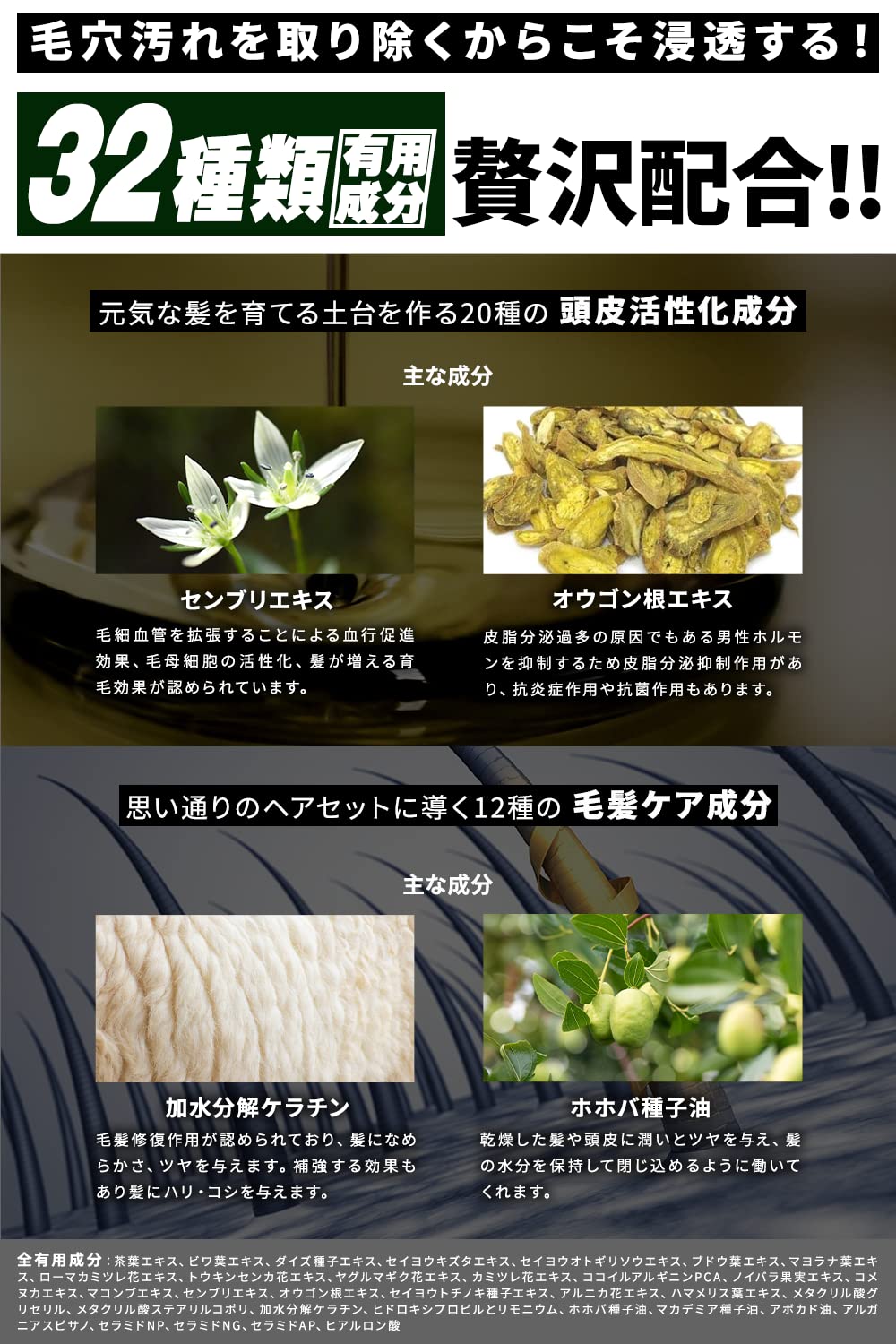 Amazon | 【PALAIS】 炭酸シャンプー スカルプシャンプー アミノ酸