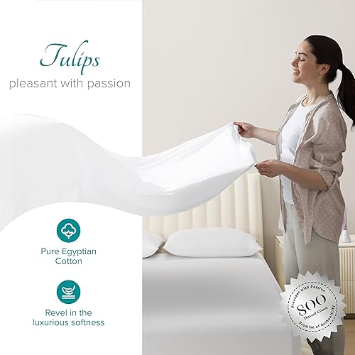 Miniatura 2 de Carressa Linen Juego de sábanas de 800 hilos 100% algodón egipcio suave de fibra larga, juego de 6 piezas, sábanas queen, bolsillo profundo de hasta