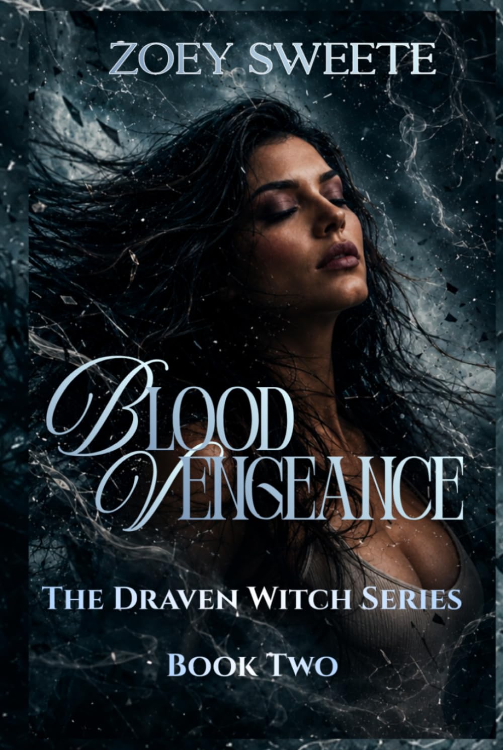 Blood Vengeance The Draven Witch Series Book Two