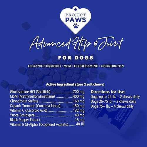 Miniatura 5 de Suplemento para cadera y articulaciones de perros Project Paws, suplemento masticable avanzado y suave para caninos, MSM, glucosamina, condroitina,