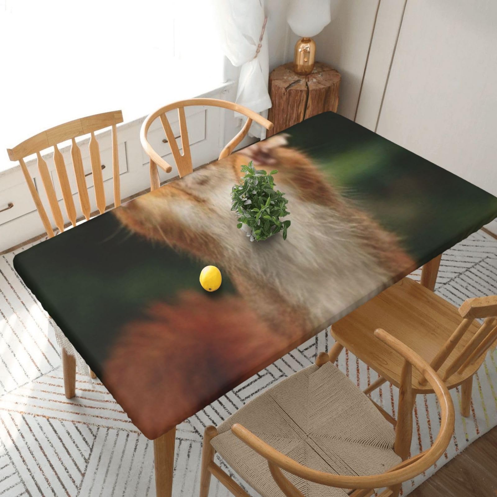BNVSADC Squirrel Funny Animal-r18325 Printed 5FT Tablecloth Polyester Kitchen Water Resistant Table Cloth Dining Table Decoration Table Covers, 152x76 CM