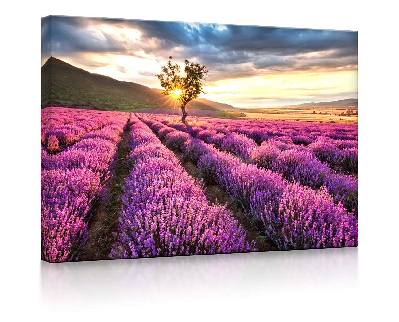 LED Leuchtbild Provence mit einsamen Baum 80x60 cm Front Lighted
