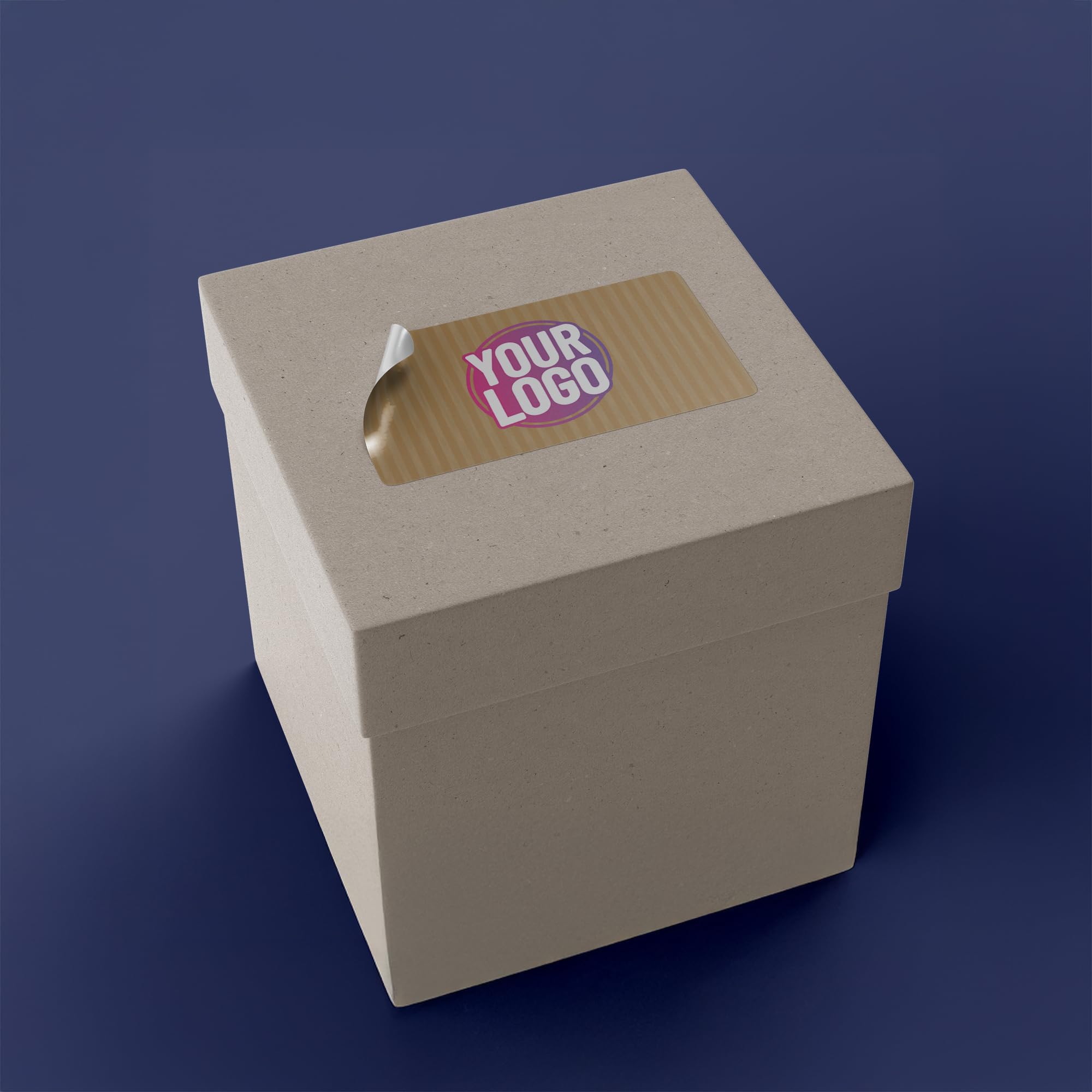 View 4