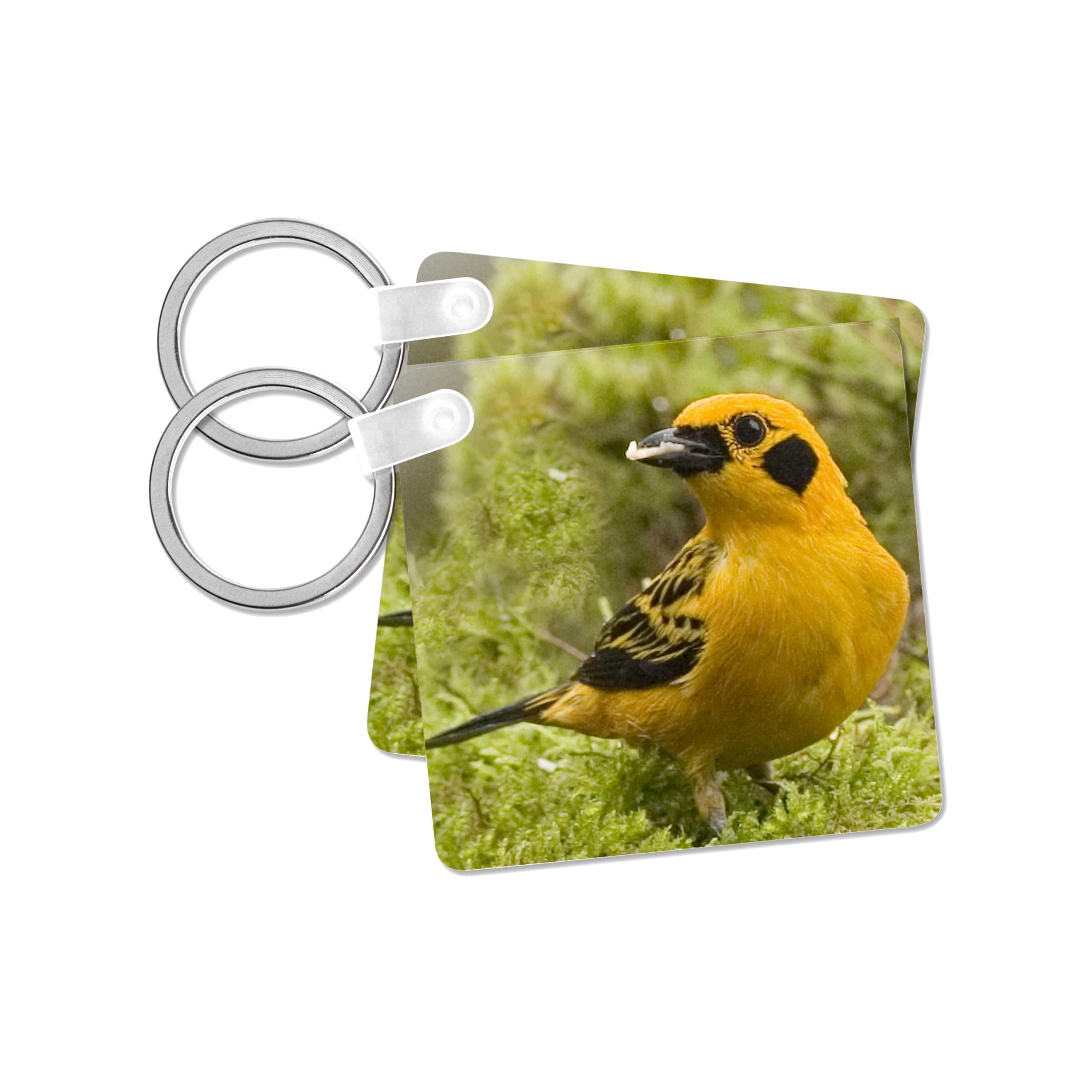 3dRose, Ecuador, Golden tanager bird feeding in foliage - SA07 BJA0025 - Jaynes Gallery, set of 2 Key Chains