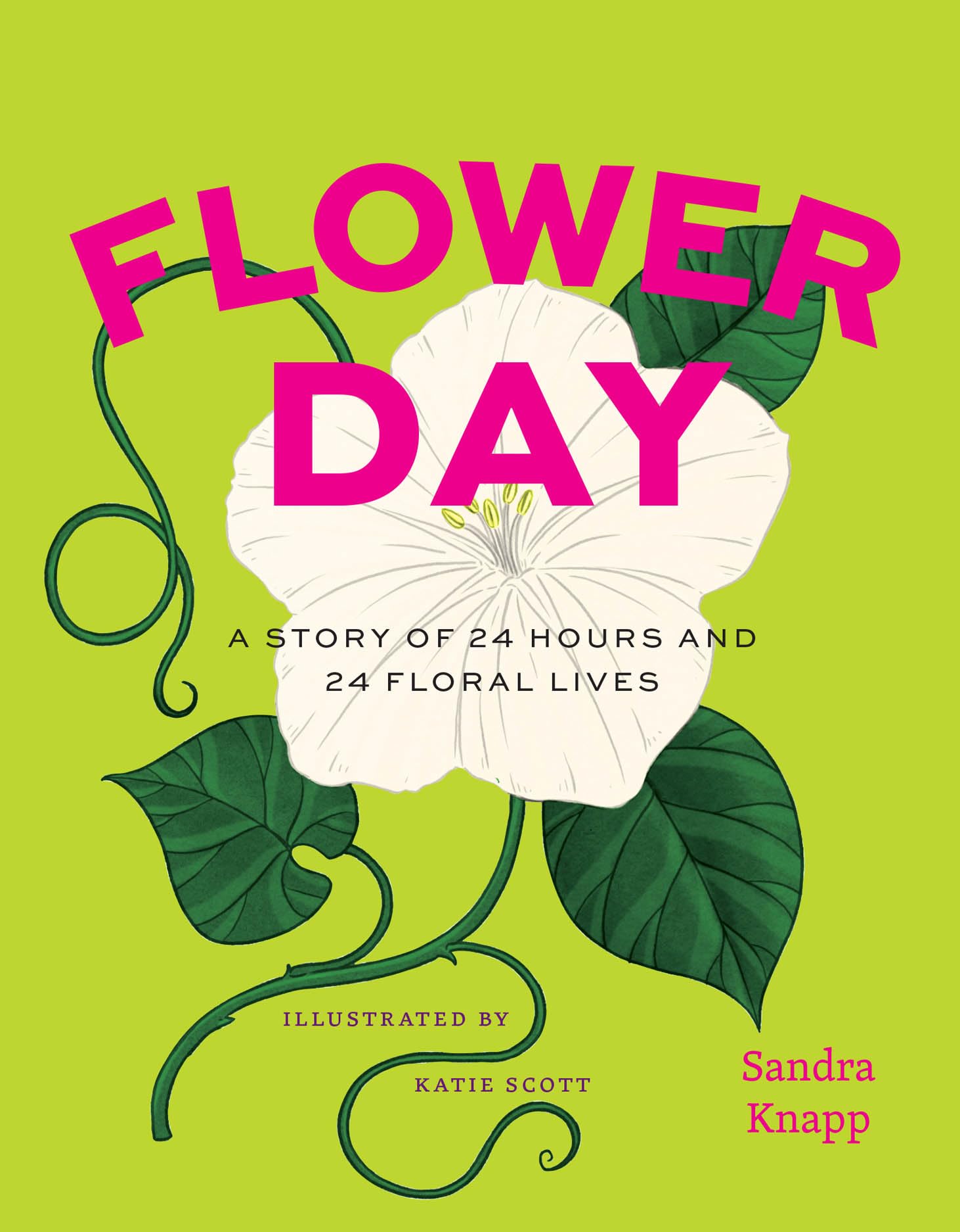 Flower Day – A Story of 24 Hours and 24 Floral Lives by Sandra Knapp