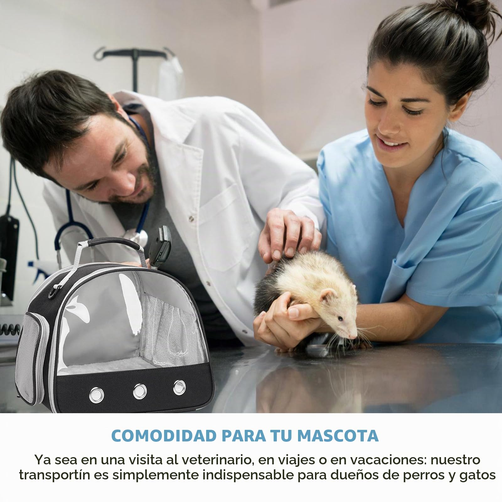 Pequeña bolsa de transporte para mascotas y animales pequeños, caja lateral para gatos, bolsa para cobayas