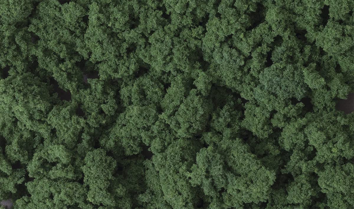 Woodland Scenics Dark Green Clump-Foliage