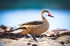 Review Image by Samuel Trujillo Samuel Trujillo