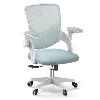 Amazon.com: Nazhura Mesh Office Desk Chair with Adjustable