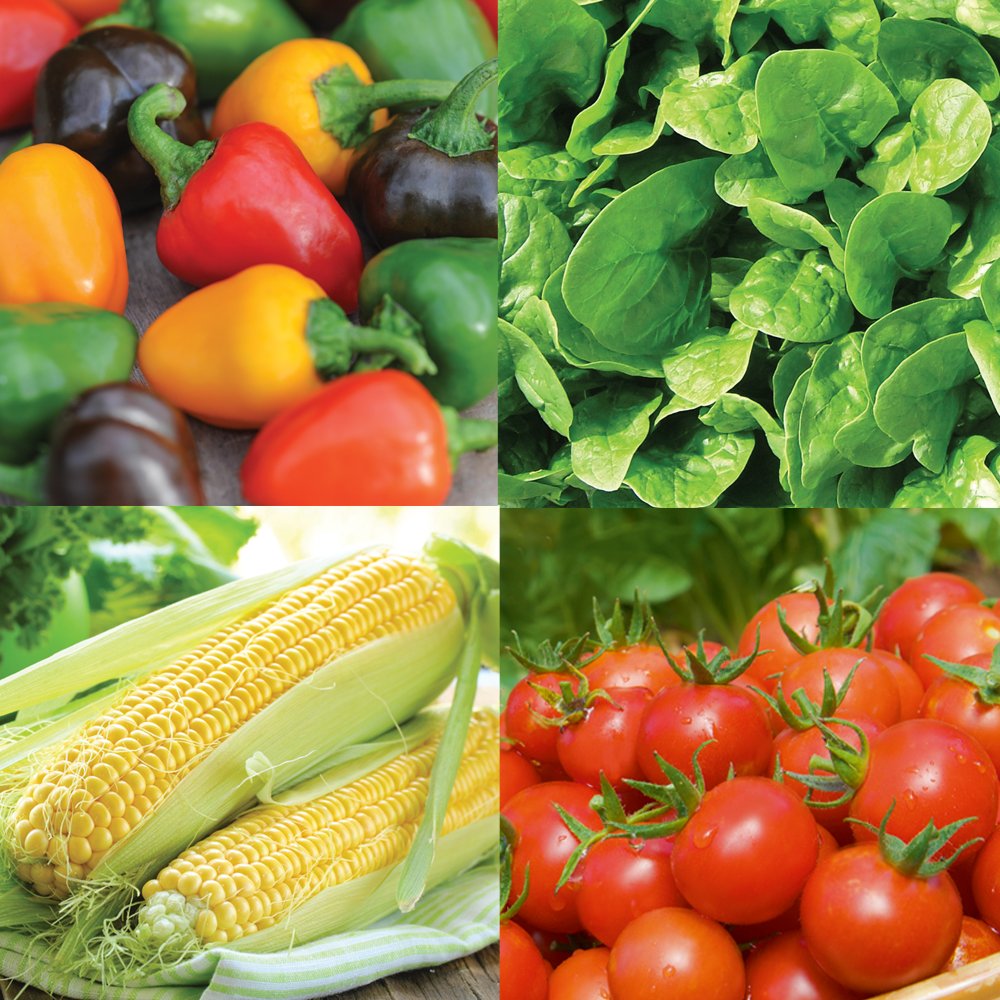Seed Packets Lucky Dip Collection Wide Variety of Flowers, Wildflowers, Vegetables, Herbs and Salad for Every Area of Garden 5 x Vegetable Seed Packets by Thompson & Morgan