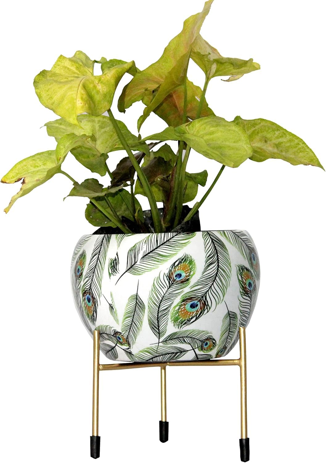 The Pot Dealer Printed Metal Plant Stand Pot Holder-Indoor Mid Century Modern Plant Holder for House Plants, Home Decor Modern Pot Stand for Indoor Gardening Size 15cm x 15cm x 15cm (Peacock Feather) (B0DJ5LT6M3) Amazon Price History, Amazon Price Tracker