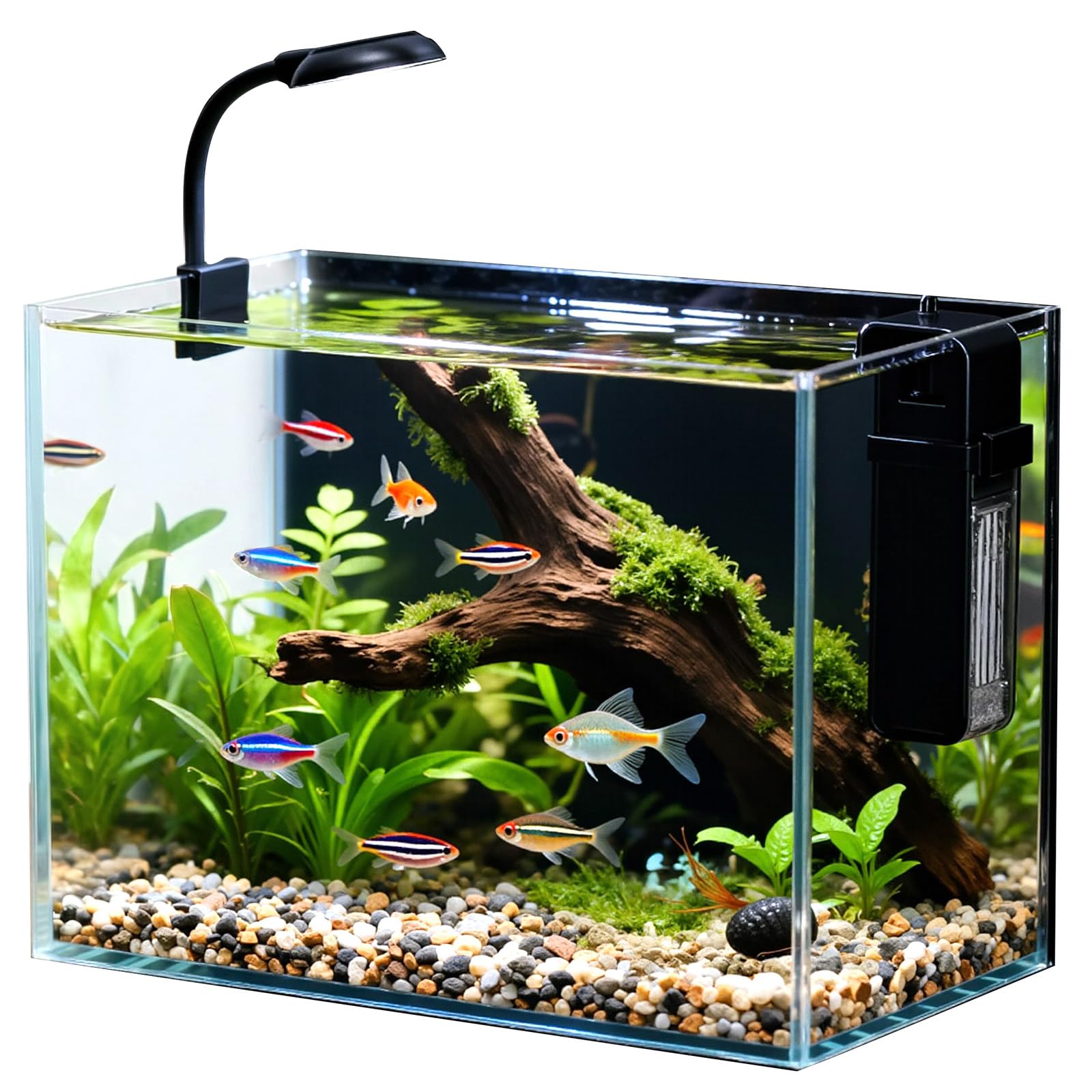 Nano Aquarium 2.5 Gallon with Heater and LED Light