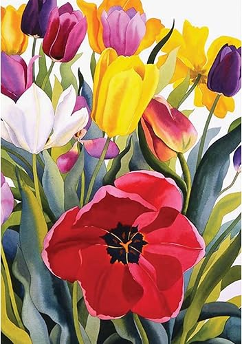 UMOART Kits de pintura de diamantes de gnomo de primavera, kits de pintura artística de diamantes de flores para adultos y niños, kits de pintura de