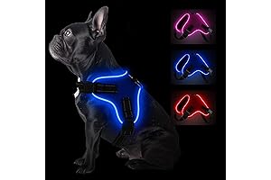 No-Pull, Reflective, and Adjustable Led Harness for Enhanced Dog Safety