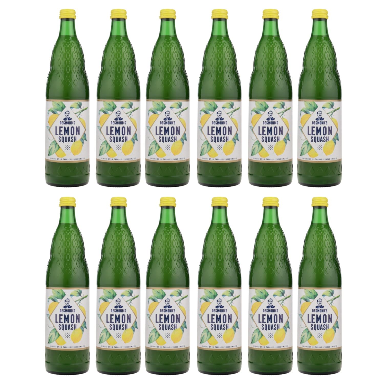 Desmond's Lemon Squash Limonadenkonzentrat alkoholfrei inkl. FeinWert E-Book (12 x 0,75 l)