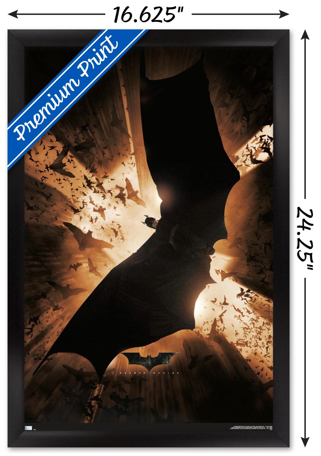 Amazon.com: Trends International DC Comics Batman Begins